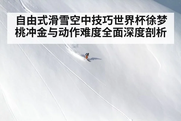 自由式滑雪空中技巧世界杯徐梦桃冲金与动作难度全面深度剖析